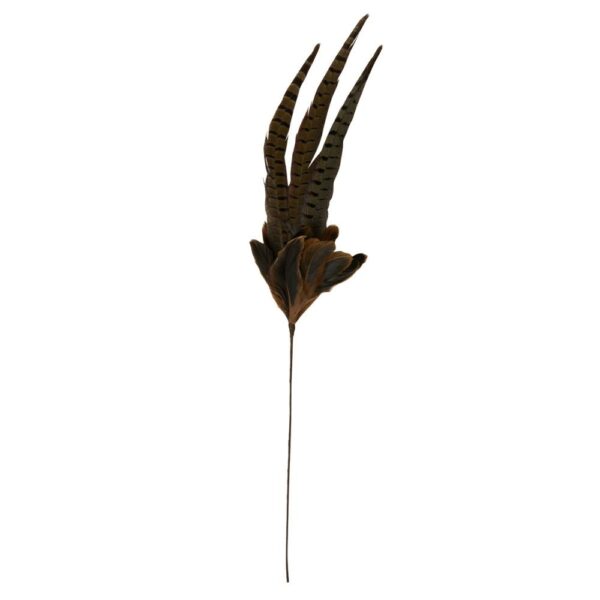 Ornament Pheasent