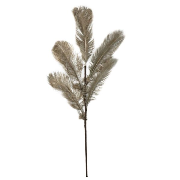 Ornament Feather