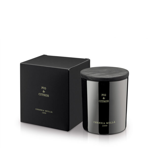 Cereria Mollá lõhnaküünal - Fig & Citrus