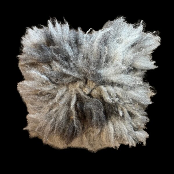 Dekoratiivpadi Nocturne